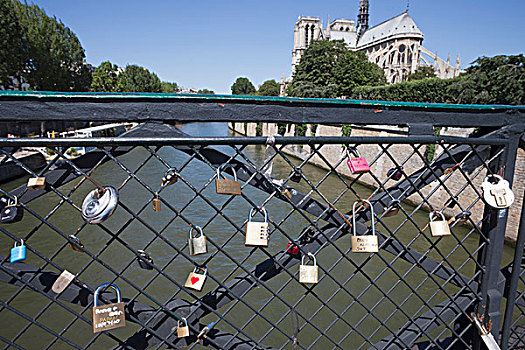 爱人,挂锁,栅栏,塞纳河,巴黎,法兰西岛,法国