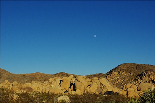 石头,蓝天,月亮,约书亚树国家公园,加利福尼亚
