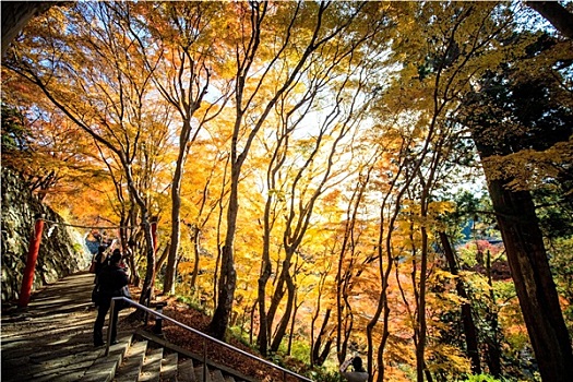 秋天,日本