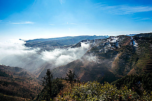 雾景