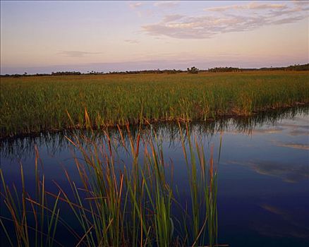 春天,日落,上方,靠近,大沼泽地国家公园,佛罗里达