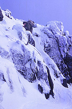 雾,晶莹,白霜,岩石构造,库林丘陵,斯凯岛,苏格兰,20世纪,艺术家