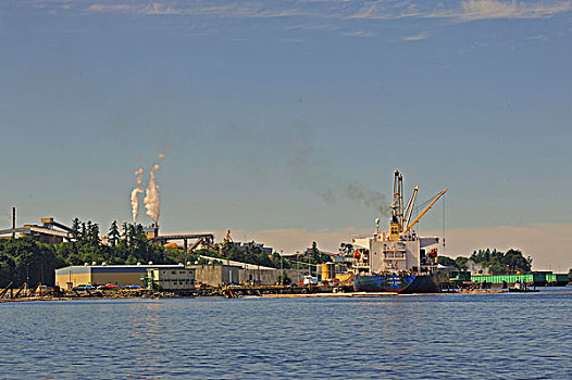 纸浆厂,温哥华岛,不列颠哥伦比亚省,加拿大