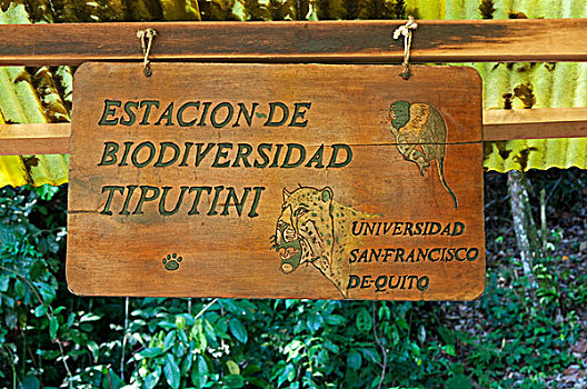 标识,入口,生物多样性,研究站,雨林,国家公园,厄瓜多尔,南美