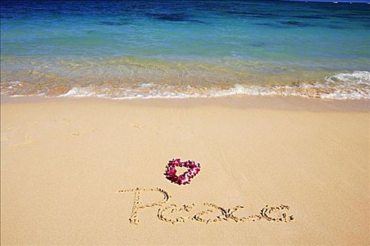 夏威夷,青绿色,海洋,水,泡沫,岸边,兰花,花环,平和,书写,沙子