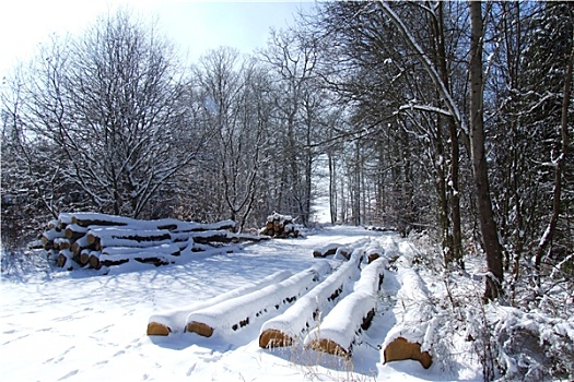 雪,木头