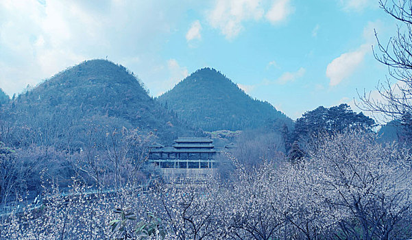 梅花季贵州醇景区