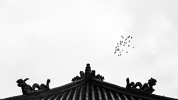自由飞翔与古建筑,黑白