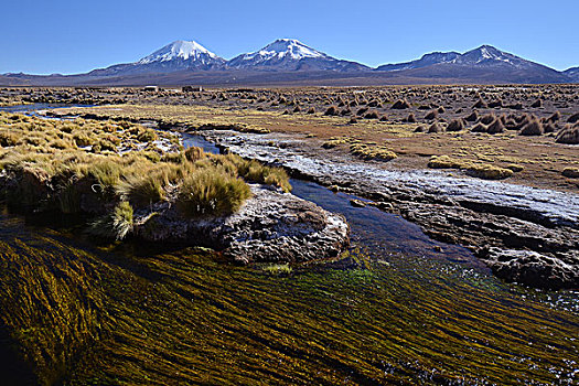 积雪,火山,国家公园,边界,玻利维亚,智利