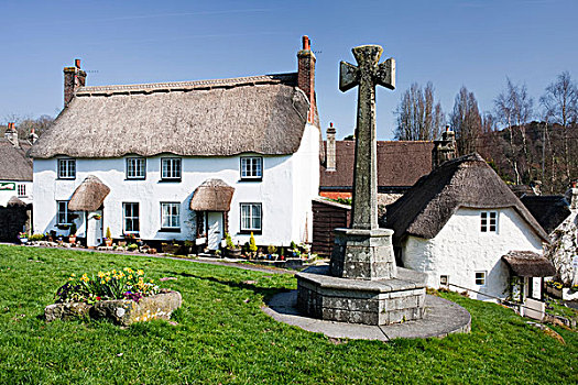 茅草屋顶,屋舍,绿色,达特姆尔高原,德文郡,英格兰,英国