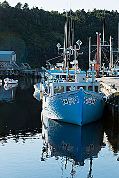 船,停泊,码头,港口,格罗莫讷国家公园,鲑鱼,河,纽芬兰,加拿大