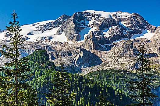 景色,雪,山頂,白云巖,南蒂羅爾,意大利