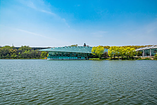 中山植物园