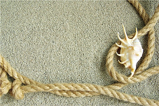 壳,绳索