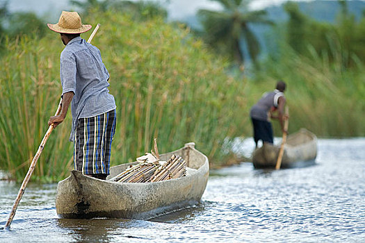 男人,独木舟,河,马鲁安采特拉,马达加斯加