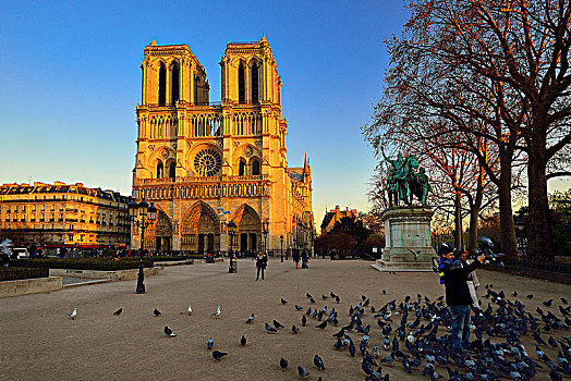 欧洲,法国,大教堂,巴黎圣母院,巴黎,粉色,夜光,鸽子,群体,前景