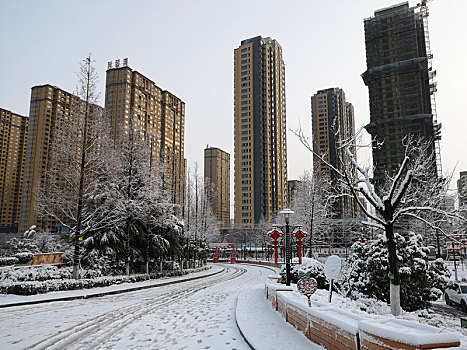 雪景