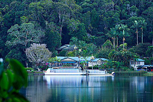 湖,茶园,咖哩,建筑,20年代,船,一个,钟点,旅游,火山口,阿瑟顿台地,昆士兰,澳大利亚