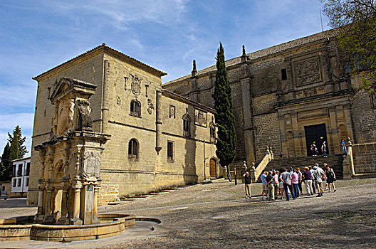 喷泉,大教堂,16世纪,巴埃萨,省,安达卢西亚,西班牙,欧洲