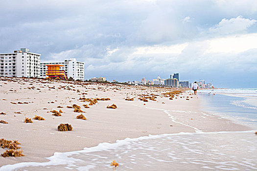 南海滩,早晨,迈阿密海滩,佛罗里达,美国
