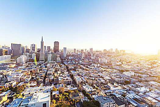 城市,旧金山,晴朗,天际线