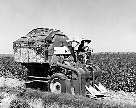 农民,联合收割机,棉花,土地,德克萨斯,美国