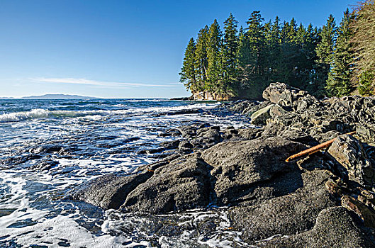 胡安德富卡省立公园,海滩,温哥华岛,不列颠哥伦比亚省,加拿大