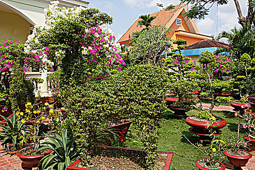 花园,越南