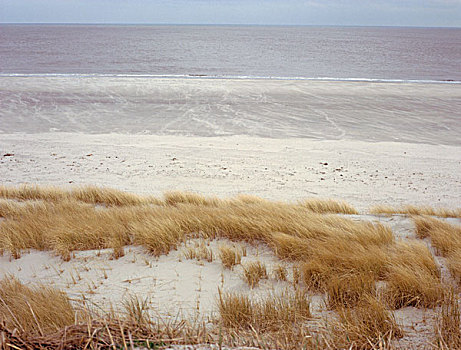 沙丘,海滩