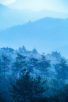 户外高山云雾缭绕自然景观