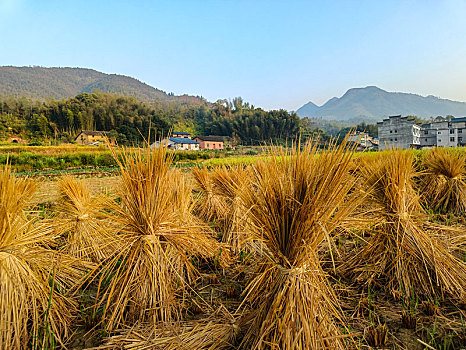 山野乡村,田园风光