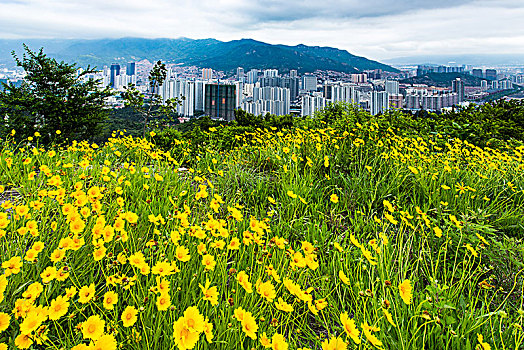 住房建设