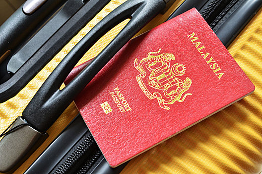 马来西亚,护照,黄色,手提箱