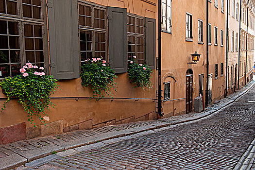 建筑,小路,格姆拉斯坦,斯德哥尔摩,瑞典