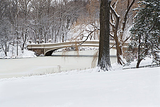 桥,雪,城市公园