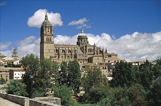 萨拉曼卡,大教堂,卡斯蒂利亚,西班牙,欧洲