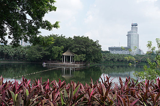 羊城广州国庆假日流花湖公园美丽景色