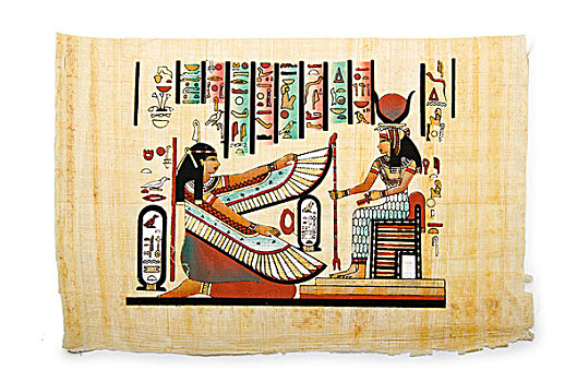 埃及,纸莎草,背景