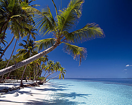 热带海岛,海滩风景,马累环礁,马尔代夫,印度洋