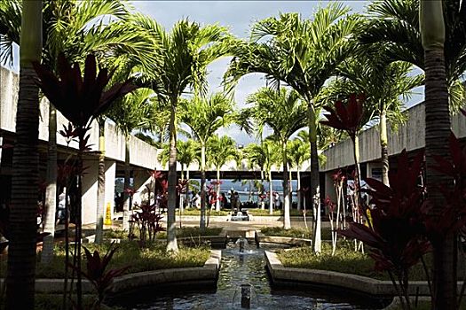 棕榈树,院落,建筑,珍珠港,檀香山,瓦胡岛,夏威夷,美国