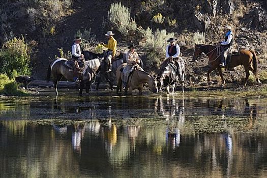 女牛仔,牛仔,浇水,马,美国西部,俄勒冈,美国