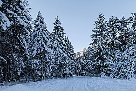 冬季风景,斯洛文尼亚