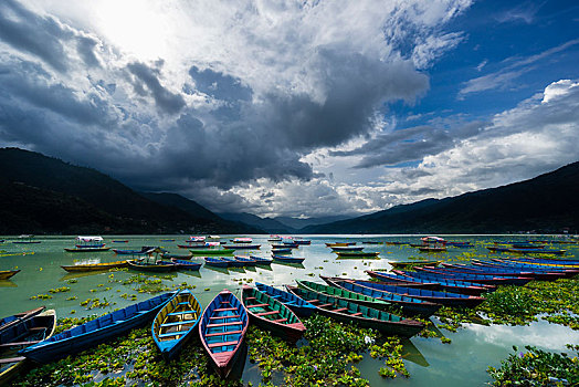 划艇,紧,一起,费瓦湖,暗色,雷暴,云,上升,天空,波卡拉,地区,尼泊尔,亚洲