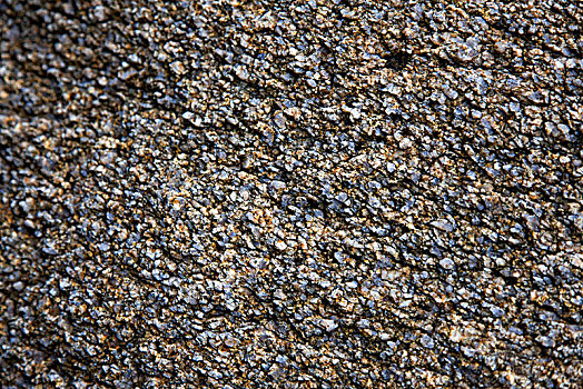 沙滩岩石纹路