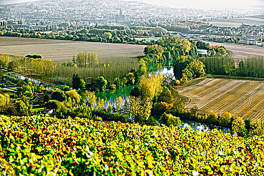 法国,香槟,葡萄园,艾贝内,背景