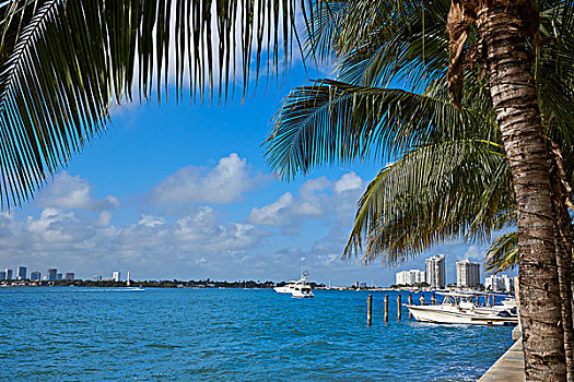 迈阿密海滩,堤道,佛罗里达,美国