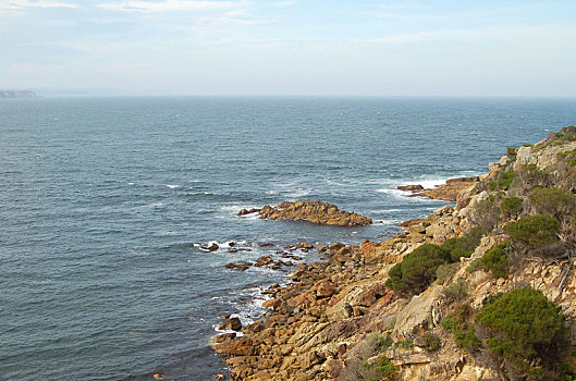 荒野,蓝宝石,海岸