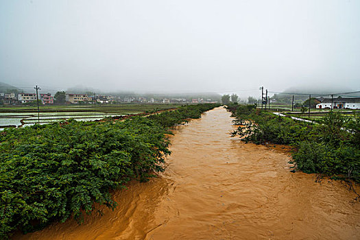 广东河源,大水,水灾