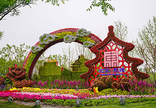 北京世园会园林盆景