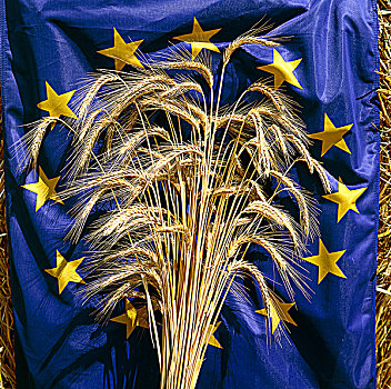 小麦,花束,欧洲国旗
